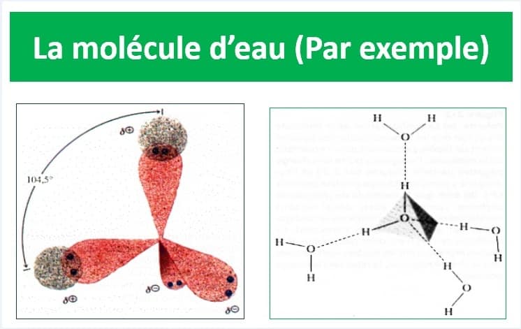 molecule-d-eau