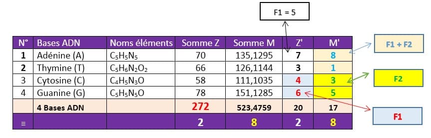 bases-adn-et-equation-2eme-degre
