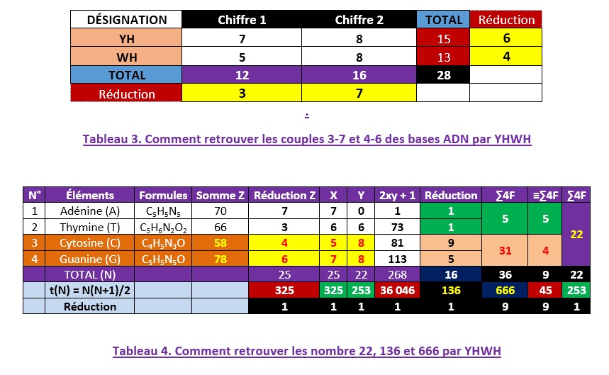 comparaison-YHWH-ADN