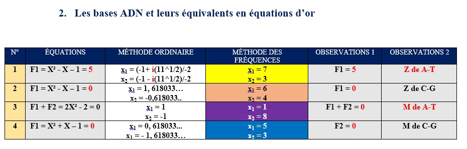 bases-adn-et-equation-d-or