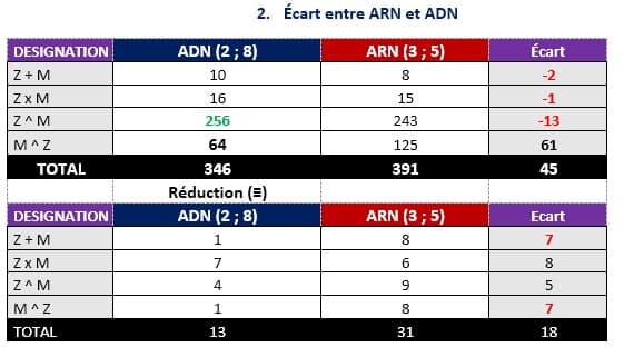 ecart-adn-arn